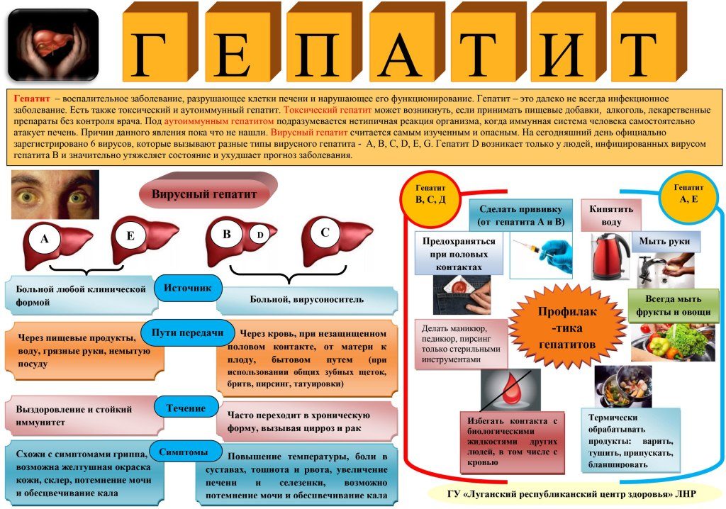 Презентация по гепатиту