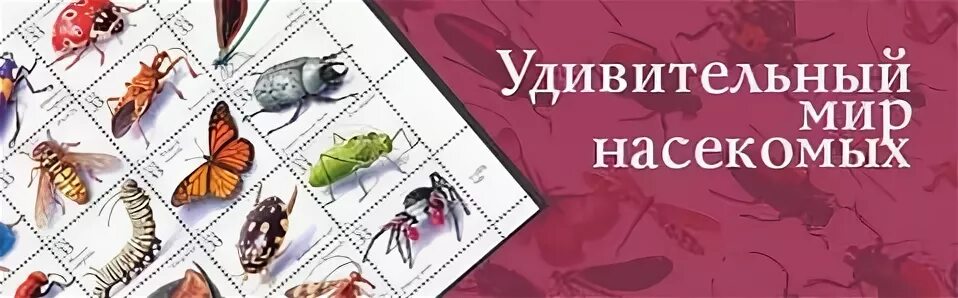 Книга: "Тематический словарь в картинках. Книга 4. Мир животных. Насекомые, земн